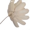 Vickerman 4" Natural Botanicals Dried Sola Flower on Wire Stem - 4 of 4