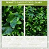 Artificial Grass Wall Panel Backdrop, wood UV Protection Privacy Coverage Panels,abstract,green,12.20" x 20",1.02*1.67ft - 4 of 4