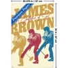 Trends International James Brown - The Godfather of Soul Unframed Wall Poster Prints - 3 of 4