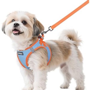 rabbitgoo Dog Harness Small Soft Walking Reflective Puppy Vest for Small Dogs, Light Blue & Orange, S - 1 of 1