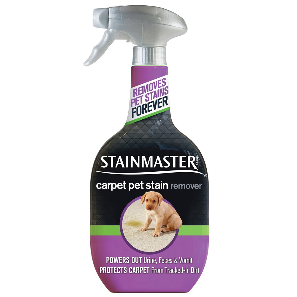 UPC 042000225786 product image for STAINMASTER Carpet Pet Stain - 22oz | upcitemdb.com