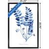 Trends International Jean Plout - Indigo Botanical Asplenium Trichomanes Framed Wall Poster Prints - 3 of 4