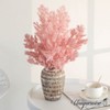 Uniquewise Preserved Real Floral Stems Chic Vase Fillers & Accents for Bouquets Centerpieces - 2 of 4