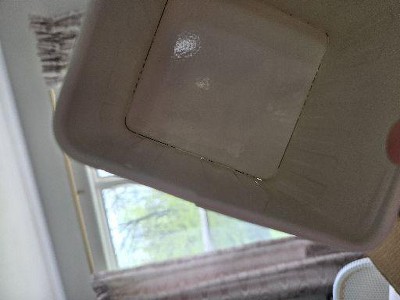 Guest review image 2 of 2, zoom in
