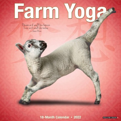 2022 Wall Calendar Farm Yoga - Willow Creek Press