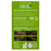 Natural Instincts Clairol Demi-Permanent Hair Color Cream Kit - image 2 of 4