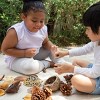 Kaplan Early Learning Nature's Geometry: Loose Parts STEM Kit - image 3 of 4