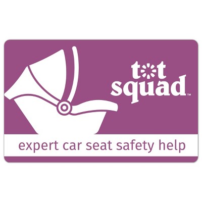 Tot Squad Car Seat Check with Certified Safety Expert (30min Live Video Consultation)