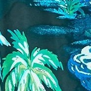 black palm