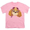 Boys' Short Sleeve Paw Patrol Sky Grin T-Shirt - 2 of 4