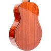 Gold Tone TG-10 Tenor Acoustic Guitar Natural - 4 of 4