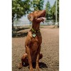 QALO TraQ Powered By Tile Dog and Cat Silicone Bluetooth Trackable Pet ID Tag - Green - 2 of 4