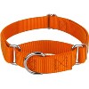 Country Brook Petz Martingale Heavyduty Training Collar with No Buckle - Service Collar for All Dogs - Vibrant, Colorful Collection - 4 of 4