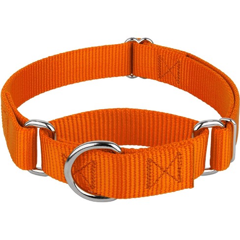 Country Brook Petz® 3/8 Inch Red Martingale Heavyduty Nylon Dog Collar,  Extra Small : Target