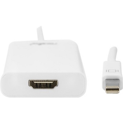 Rocstor Mini DisplayPort to HDMI Adapter Convertor (Y10A105-W1)