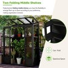 Whisen 78" Greenhouse with 4 Skylights & 2 Folding Shelves - Black - 3 of 4