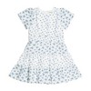 Derek Heart Little Girls Printed Tiered Dress, Blue Multi - 3 of 4