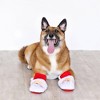 PetShop by Fringe Studio St. Nick's Kicks Mini Dog Toy Set - 2pk - 3 of 3