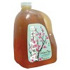 Arizona Green Tea Ginseng And Honey - 24pk/16 Fl Oz Bottles : Target