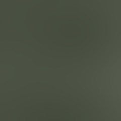 olive green/icy mint