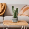 Nature Spring 22-Inch Artificial Cactus Plant - 2 of 4