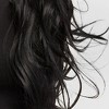 Adult Premium Black Halloween Wig - Hyde and EEK! Boutique™ - 2 of 3