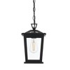 Elegant Lighting Cayman 7 inch Outdoor Pendant in Black - 3 of 4