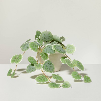 7.5" Mini Faux Variegated String of Hearts Plant - Hearth & Hand™ with Magnolia