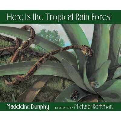 Here Is the Tropical Rain Forest - (Web of Life) by Madeleine Dunphy