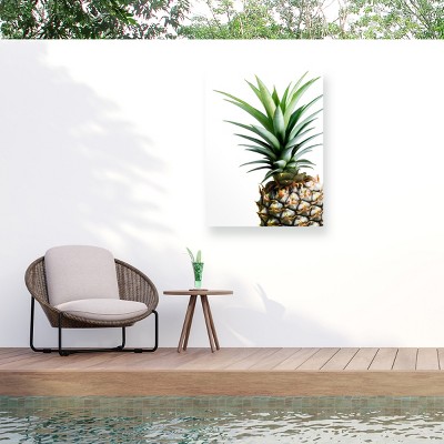 "Pineapple (color)" Outdoor Canvas