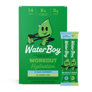 Waterboy Workout Hydration Sports Drink Variety Pack - Blue Raspberry + Lemon Lime - 3.16oz/14ct - 1 of 4