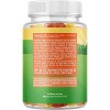 Kids Multivtamins Gummies, Assorted Fruit Flavors, Nature's Craft, 120ct - 2 of 4