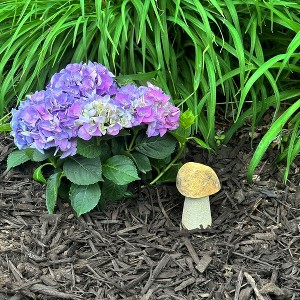 Stone Age Creations Natural Stone Mushroom Garden Decor – Hand-Carved Unique Sculptures - 1 of 4
