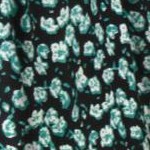 black green ditsy floral