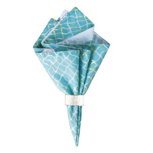 C&F Home St. Kitts Cotton Reversible Napkin Set of 6 - 1 of 4