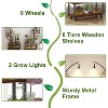 Plant Shelf with Grow Light & Wheels, Tall Plant Stand Indoor, 6 Tiered Large Metal Half-Moon Shape - 3 of 4