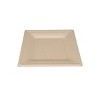Naturezway Bamboo & Sugarcane 10" Square Plates - Case of 12/20 ct - 3 of 3