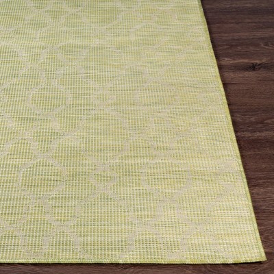 Buiksloot Olive Synthetic Fur Rectangular Area Rug 2'6" x 4'