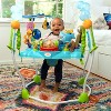 Nemo cheap bouncer target