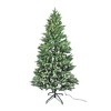 Lapland Fir Hinged Christmas Tree, 350 Clear Lights, 1318 Tips, 6 Feet - 2 of 4