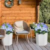 COZONY 16" Tall Planters Set of 2, Self Watering Plant Pots with Water Level Monitor, Drainage & Wheels, Indoor Outdoor Planters for Garden - 3 of 4