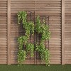Garden Trellis- For Climbing Plants-Set of 2- Metal Panels with Decorative Scrolls-For Vines Roses Vegetable Plants & Flowers by Nature Spring - 4 of 4