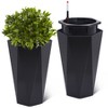 22.5" Tall Planters Set of 2, Self Watering Plant Pots with Water Level Monitor, Outdoor Planters with Wheels, Indoor Flower Pots, Black - 2 of 4