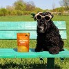 Zesty Paws Allergy and Immune Bites for Dog Lamb Flavor - 60ct - 3 of 4