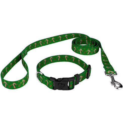 Small Pet Collar & Leash Set