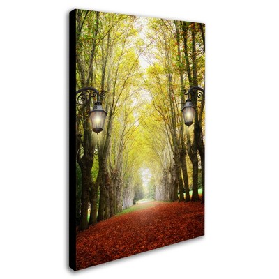 Trademark Fine Art -Philippe Sainte-Laudy 'Plane Tree Alley' Canvas Art