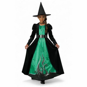 California Costumes Marvelous Witch Child Costume - 1 of 4