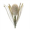 Protea Floral Stem (Set of 2) - 3 of 3