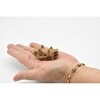 Collectible Wildlife Gifts | Uintatherium, Fossil Skull Toy, Realistic Plastic Reproduction   2"   F3523 B204 - 3 of 4