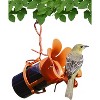 Songbird Essentials Orange Jelly Jam Fliteline Oriole Feeder - 6.5" - 4 of 4